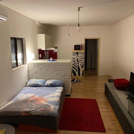 Adorable 1-Bedroom Guesthouse & Private Parking Place Velika Mlaka Exterior photo